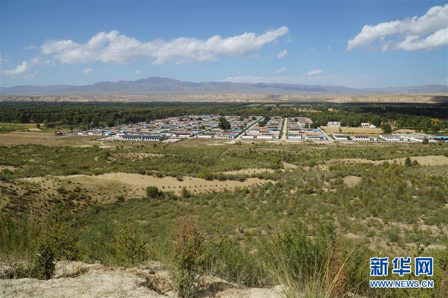 （決戰(zhàn)決勝脫貧攻堅(jiān)·圖文互動(dòng)）（2）高原鄉(xiāng)鎮(zhèn)沙珠玉 治沙斗貧成“綠?！薄嗪Ｊ」埠涂h沙珠玉鄉(xiāng)采訪見(jiàn)聞