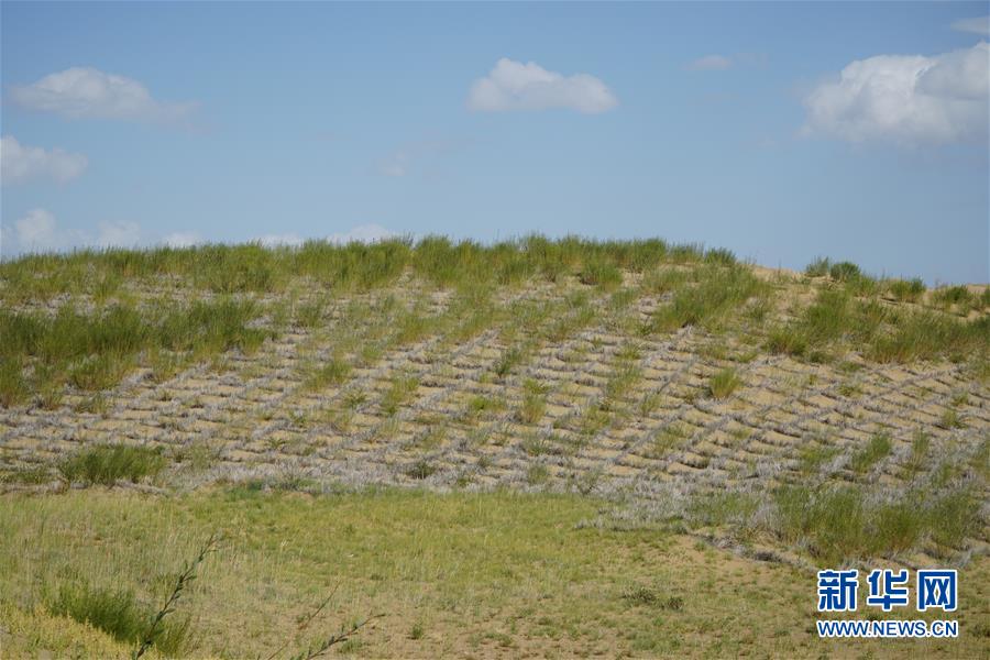 （決戰(zhàn)決勝脫貧攻堅(jiān)·圖文互動(dòng)）（3）高原鄉(xiāng)鎮(zhèn)沙珠玉 治沙斗貧成“綠?！薄嗪Ｊ」埠涂h沙珠玉鄉(xiāng)采訪見(jiàn)聞