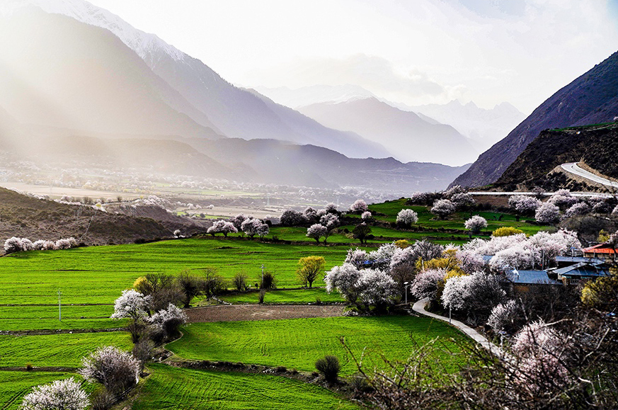 西藏林芝市波密縣傾多鎮(zhèn)八朵卡的田園風(fēng)光（攝于4月5日）。新華網(wǎng) 達(dá)娃攝.jpg