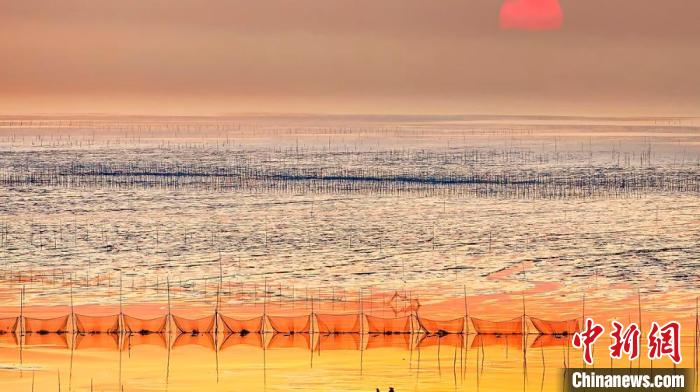 江蘇鹽城被譽(yù)為金灘銀蕩、魚米之鄉(xiāng)?！←}城市委宣傳部供圖