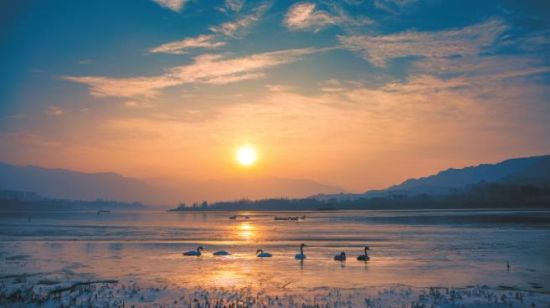 黃河冬之晨。