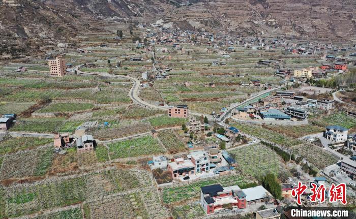 潔白的李花與村寨交相輝映，勾勒出一幅美麗的和諧生態(tài)畫卷?！『吻搴?攝