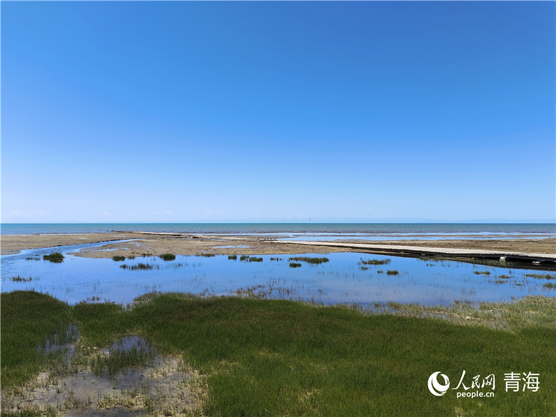 青海湖仙女灣。人民網(wǎng) 張莉萍攝