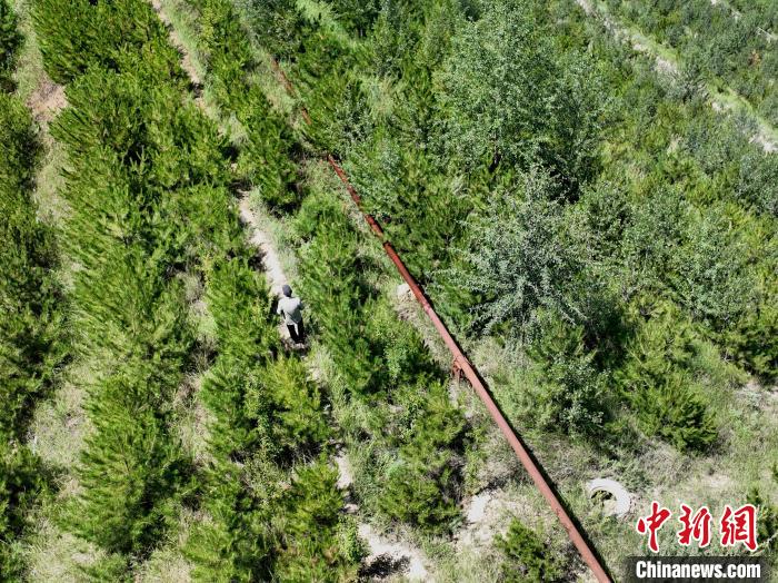 航拍建行青海省分行綠化區(qū)施工隊隊長盧占祥正在巡護綠化區(qū)?！∑钤鲚?攝