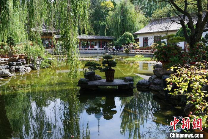 圖為西寧園林植物園秋日風景別有韻味。　馬銘言 攝