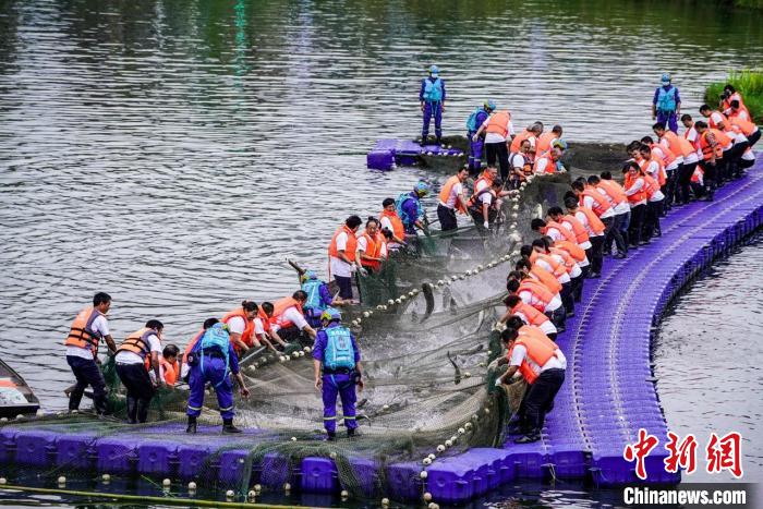 捕撈現(xiàn)場?！≈鬓k方供圖