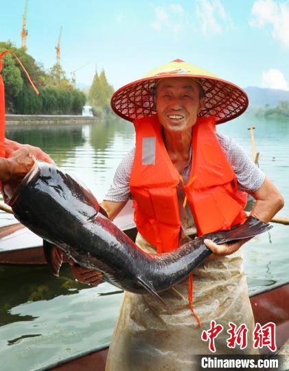 工作人員展示捕撈成果?！≈鬓k方供圖