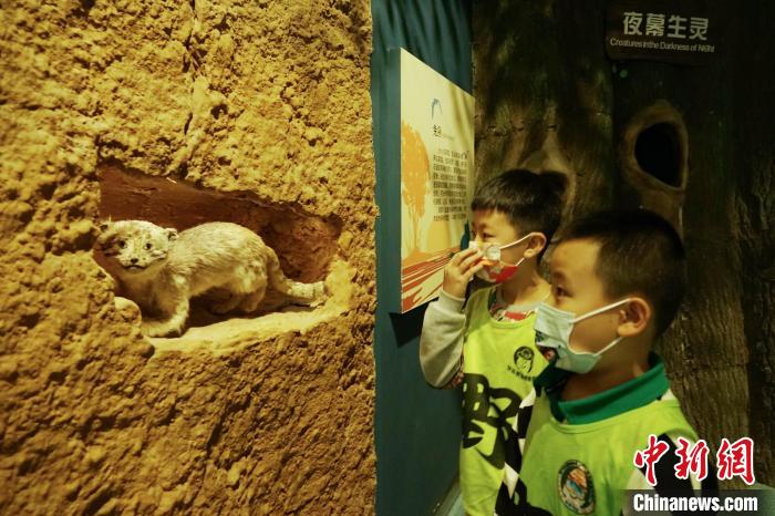 圖為小朋友在青海西寧湟水國家濕地公園科普館內(nèi)參觀學習。　馬銘言 攝