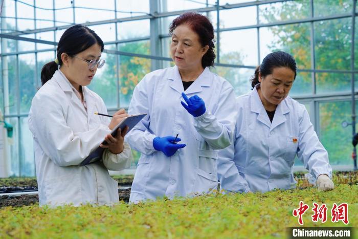 圖為張錦梅(中)與同事在討論數(shù)據(jù)。馬銘言 攝