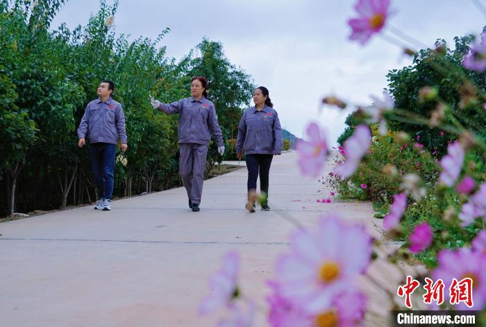 圖為張錦梅(中)與同事在西寧北山查看丁香樹?！●R銘言 攝