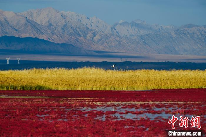 圖為柴達木盆地可魯克湖?！」?攝