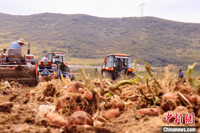 青海東部農(nóng)業(yè)區(qū)：“一分川、一分水、八分山”里“刨金記”