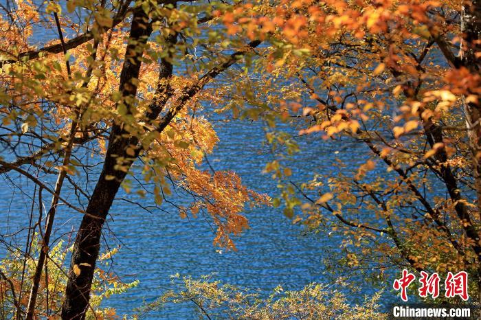 松坪溝風(fēng)光?！⑼?攝