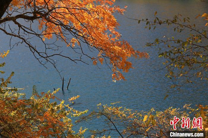 松坪溝風(fēng)光。　劉通 攝