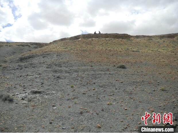 圖為本次研究的藏南曲布剖面二疊紀(jì)末期黑色頁(yè)巖。　南古所 供圖