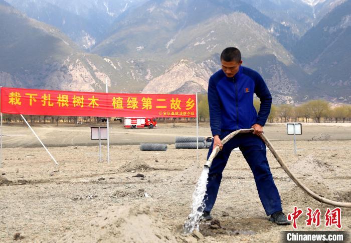 林芝市巴宜區(qū)森林消防中隊志愿服務(wù)隊澆水灌溉?！∥骼@拉翁 攝
