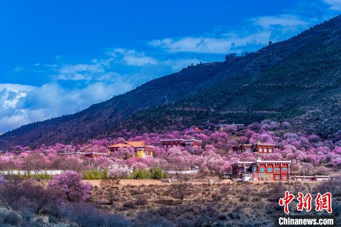 美麗的鄉(xiāng)村畫(huà)卷?！『涡秀?攝