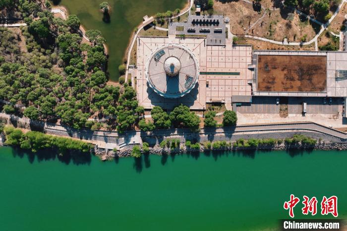 航拍青海貴德黃河岸畔綠意濃濃?！≮w凜松 攝