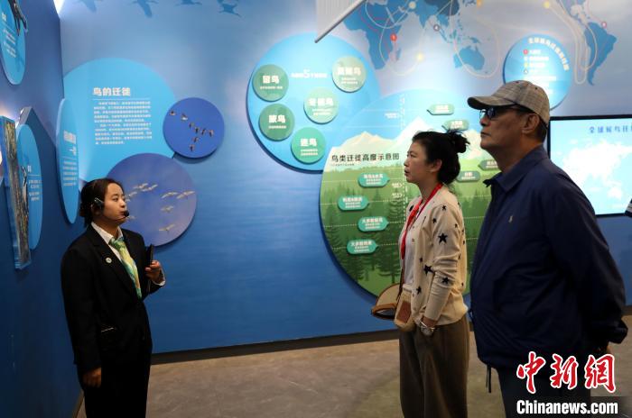 圖為臺商在祁連山國家公園生態(tài)科普館內(nèi)聆聽講解?！⊙Φ?攝