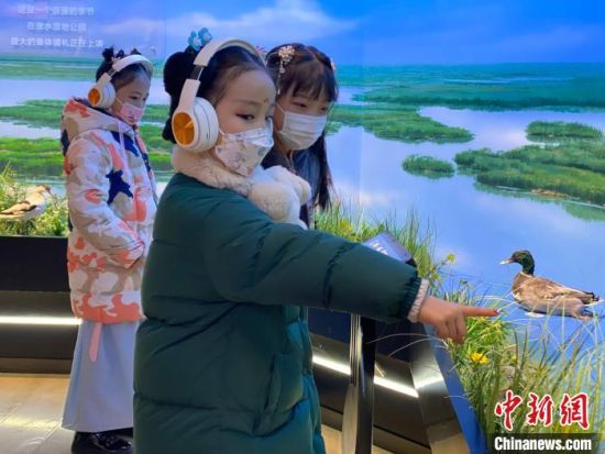 圖為學(xué)生在西寧市第一中學(xué)濕地科普宣教館內(nèi)參觀?！±罱瓕?攝