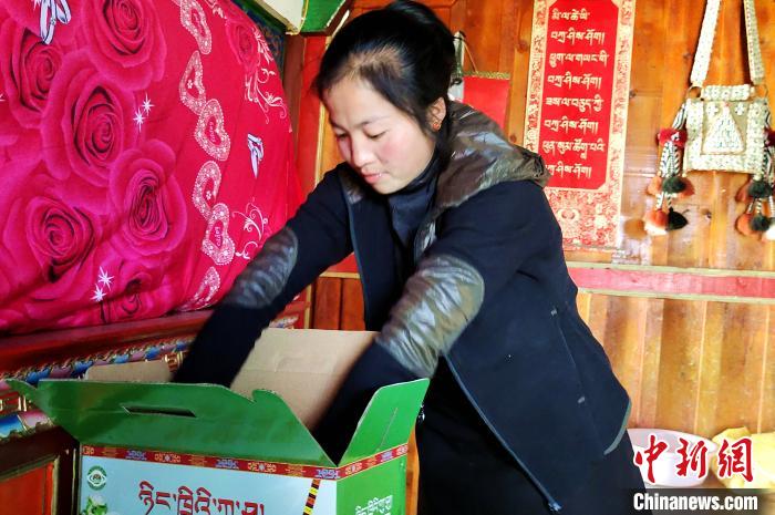 圖為通麥村村民巴桑拉姆把精心挑選的蘋果裝箱?！∝暽＠?攝