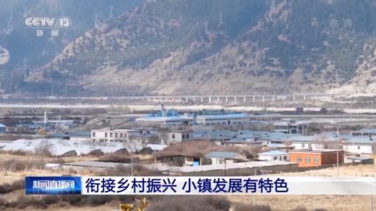 種蘑菇、養(yǎng)駱駝...。。特色產(chǎn)業(yè)助力鄉(xiāng)村振興走新路