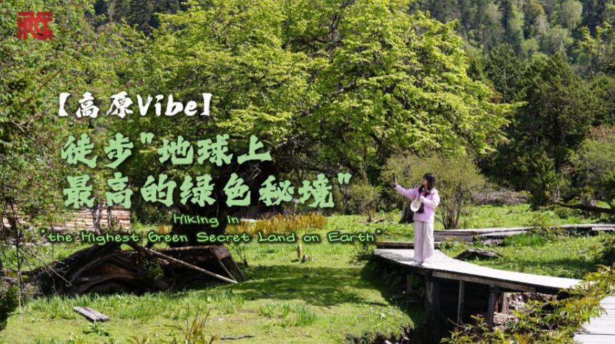 360截圖20260603165830297.jpg