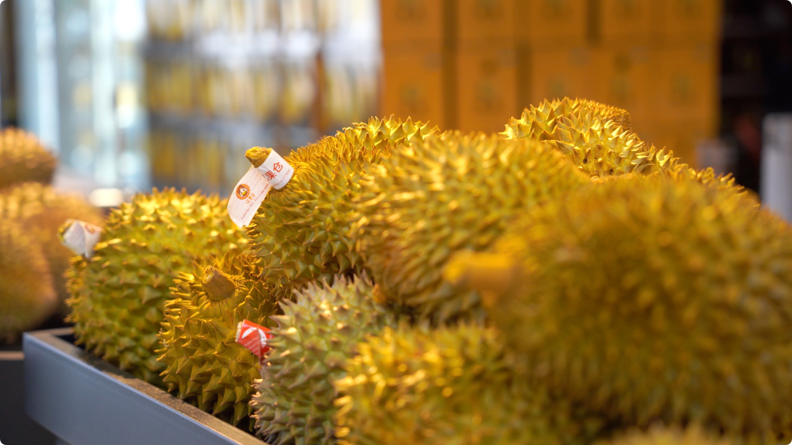 5月初，人民網(wǎng)記者申佳平攝