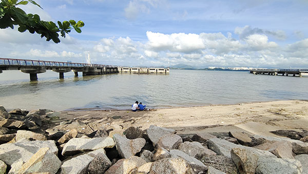 深圳紅樹林灘涂，留給了孩子們親近自然的空間。人民網(wǎng)記者 李彤?dāng)z