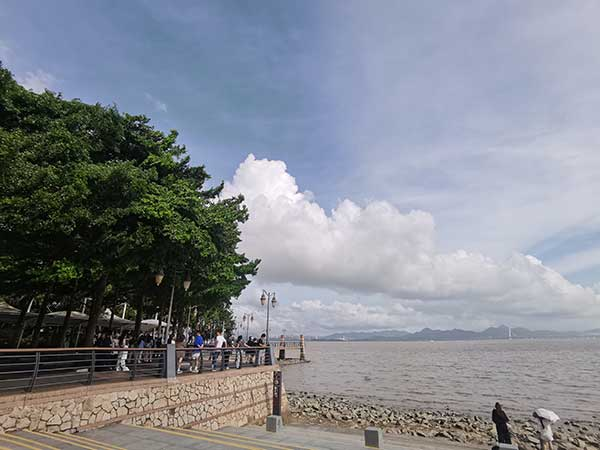 紅樹林灘涂沿線一角。人民網(wǎng)記者 張素玲攝