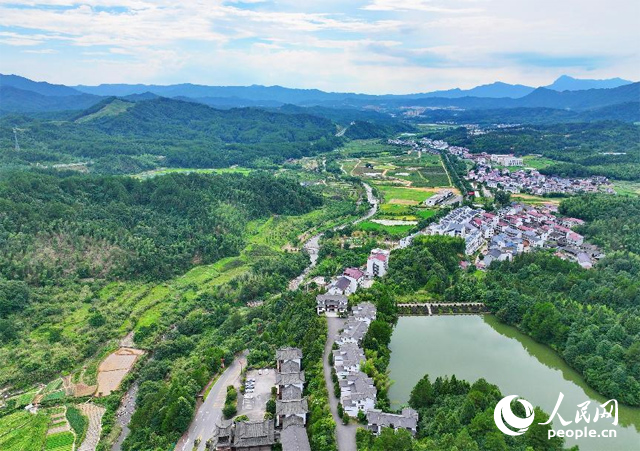 資溪縣森林資源豐富，森林覆蓋率達(dá)87.7%，有林地資源168萬(wàn)畝。人民網(wǎng) 朱海鵬攝