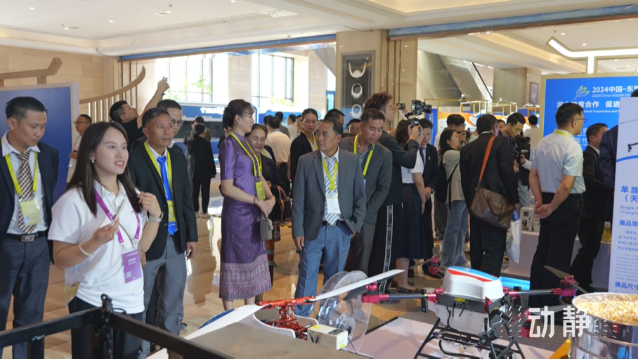 展示成果分享經(jīng)驗，中國—東盟教育交流周深化合作共創(chuàng)未來！