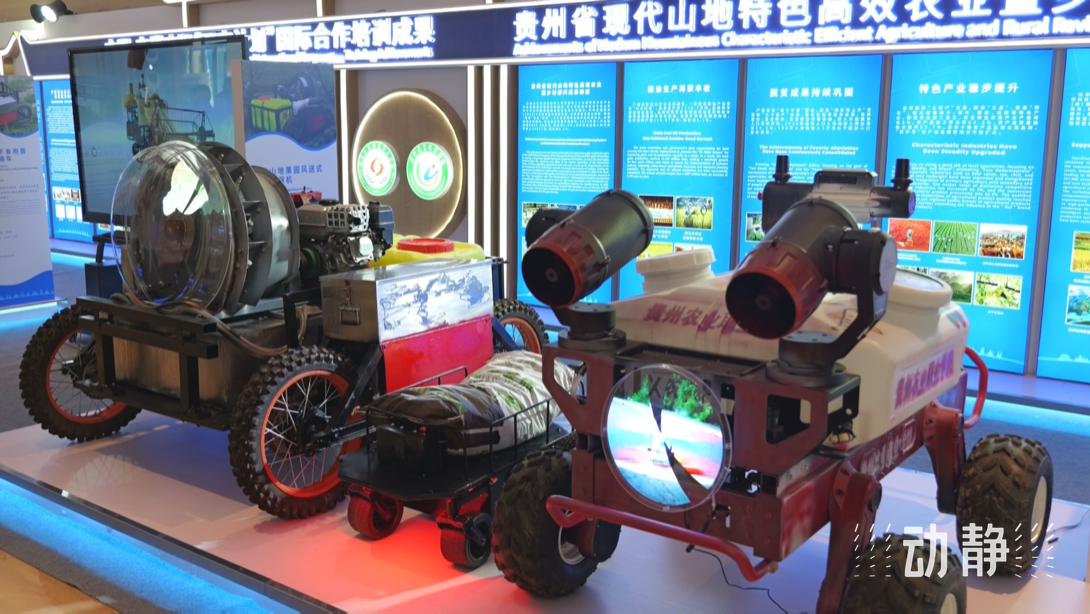 展示成果分享經(jīng)驗，中國—東盟教育交流周深化合作共創(chuàng)未來！