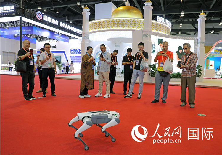 東博會(huì)上，觀眾正在參觀一只機(jī)器狗。綠色能源、新能源汽車、綠色農(nóng)產(chǎn)品等成為本屆東博會(huì)觀眾關(guān)注的焦點(diǎn)。人民網(wǎng)記者 趙益普攝