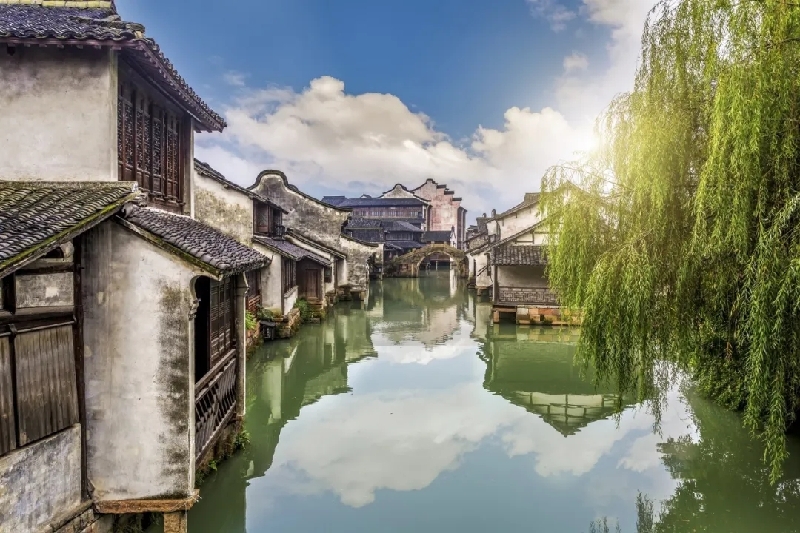 烏鎮(zhèn)動觀察｜這個字，牽起國際交流互鑒之紐帶