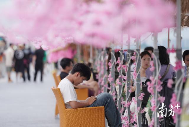 崖口村東堤靠近海岸，成為了熱門打卡休閑地點。