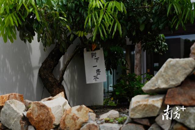 崖口村內(nèi)的文藝民宿。