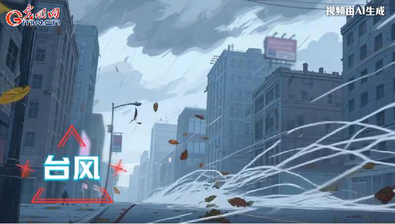 AI動(dòng)畫(huà)丨收到臺(tái)風(fēng)預(yù)警，我們應(yīng)該怎么做