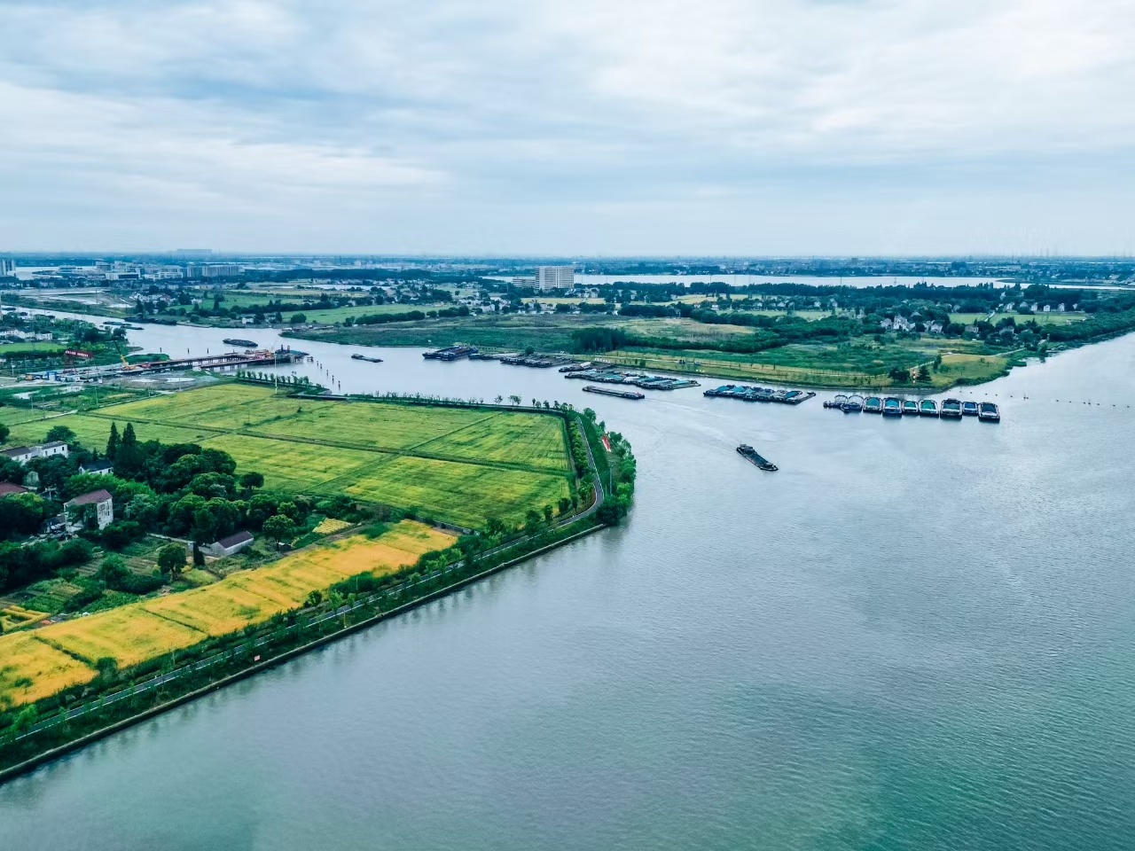 太浦河沿岸好風(fēng)光。吳橫軒攝