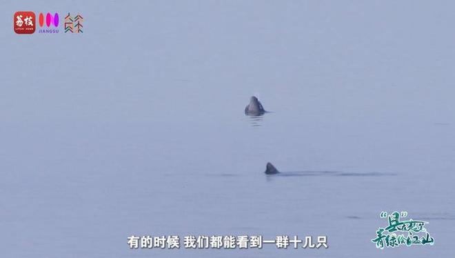 “縣”在起筆 青綠繪江山 | 江灣沐曉：褪去“銹色”走“金線”，繡出生態(tài)與產(chǎn)業(yè)“雙面錦”