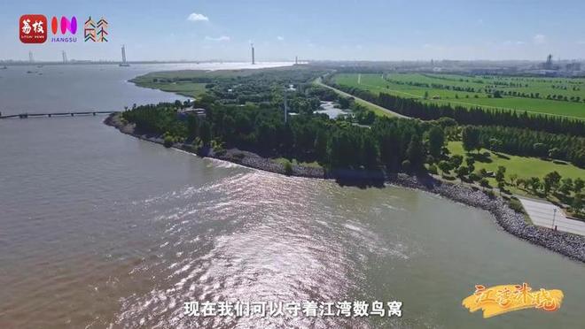 “縣”在起筆 青綠繪江山 | 江灣沐曉：褪去“銹色”走“金線”，繡出生態(tài)與產(chǎn)業(yè)“雙面錦”