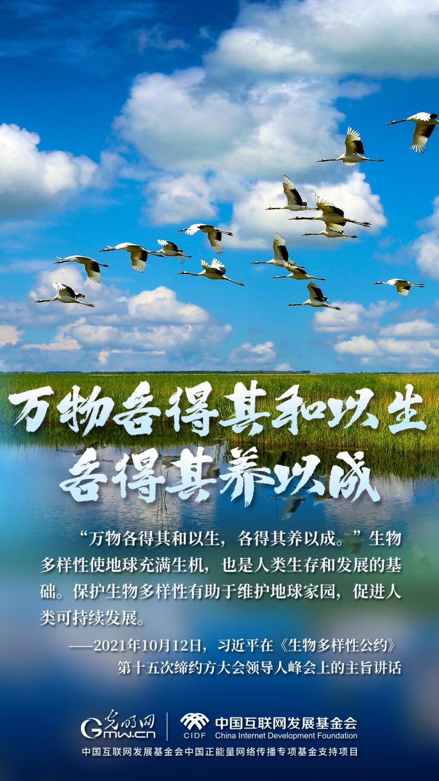 “兩山”理念與美麗中國(guó)丨濕地與候鳥(niǎo)，一場(chǎng)歲歲年年的相守