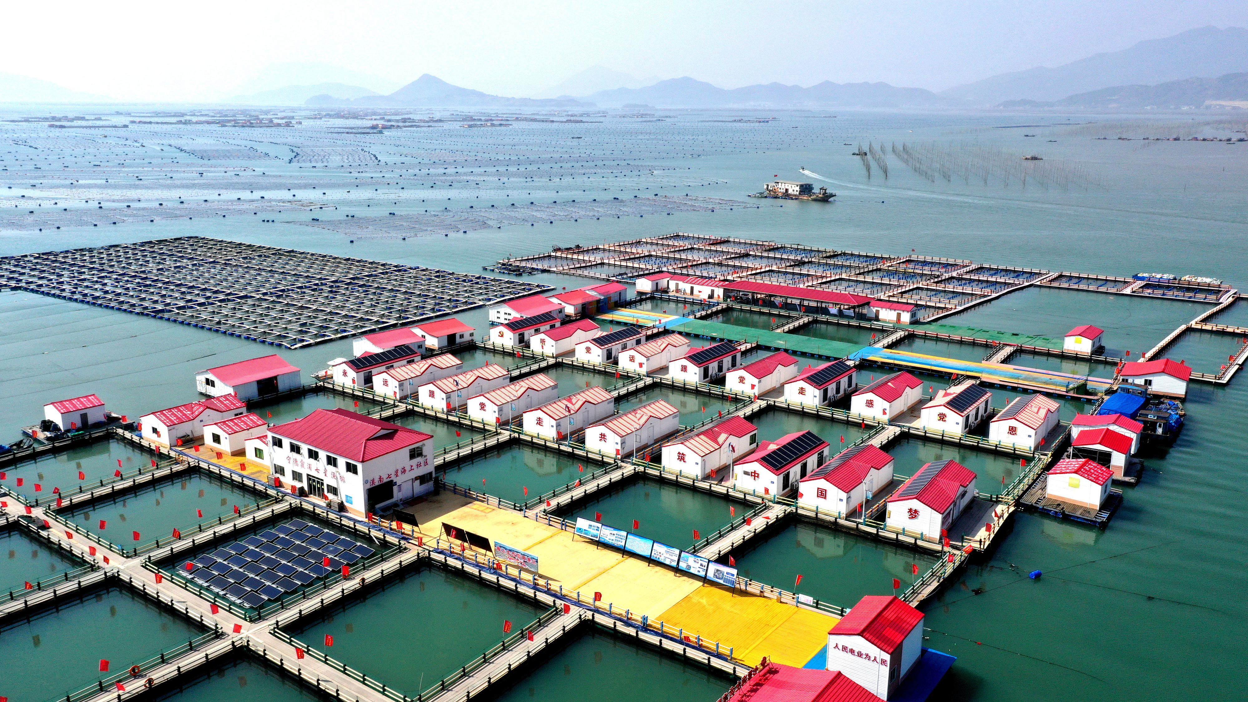 2024年3月20日，福建省寧德市，霞浦縣溪南鎮(zhèn)七星村漁排養(yǎng)殖示范區(qū)，漁民駕駛養(yǎng)殖船進行海參養(yǎng)殖作業(yè)。