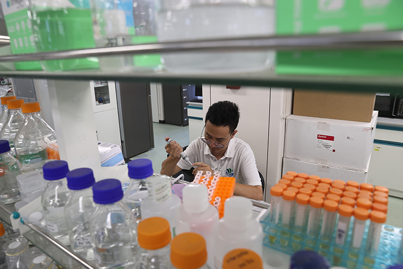 在三亞崖州灣科技城，一名青年科技工作者正在進(jìn)行科研工作。