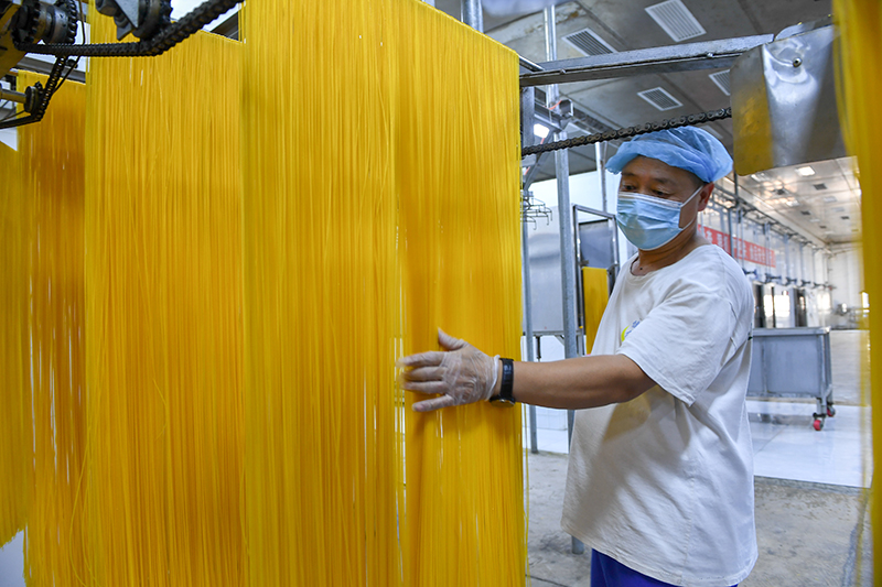 2024年1月25日，在吉林省公主嶺市的一家公司車間，工人查看玉米面條生產情況。