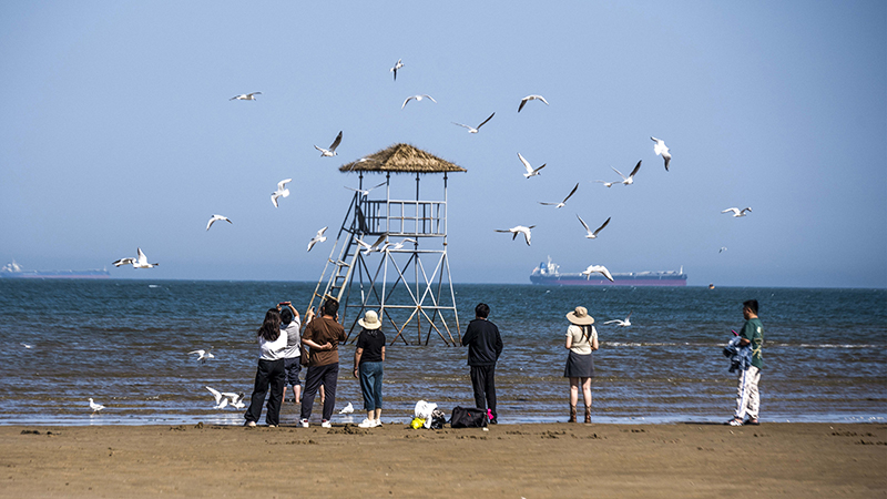 2024年5月12日，河北秦皇島，北戴河鴿子窩公園成群海鷗在天空中自由翱翔，與大海、藍(lán)天構(gòu)成了一幅美麗的畫(huà)卷。
