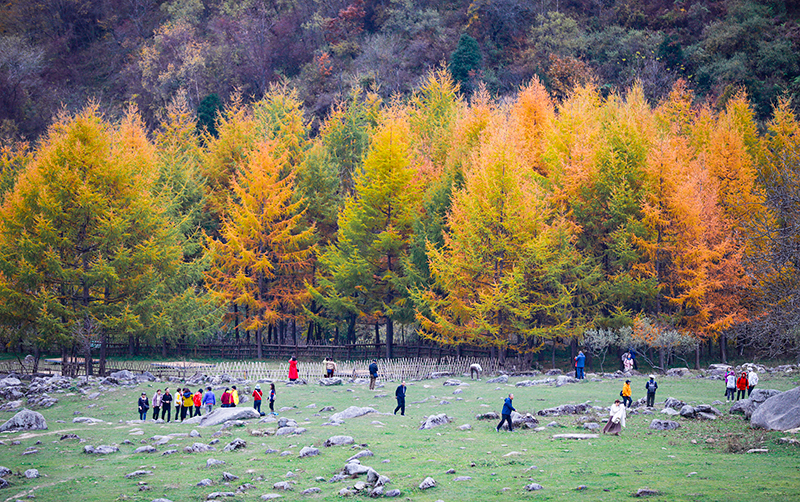 2023年10月27日，深秋時(shí)節(jié)的陜西秦嶺太子嶺漫山紅黃、色彩交織，進(jìn)入最佳觀賞期。