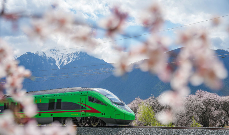2025年4月2日，復(fù)興號(hào)列車穿行在拉林鐵路林芝段。