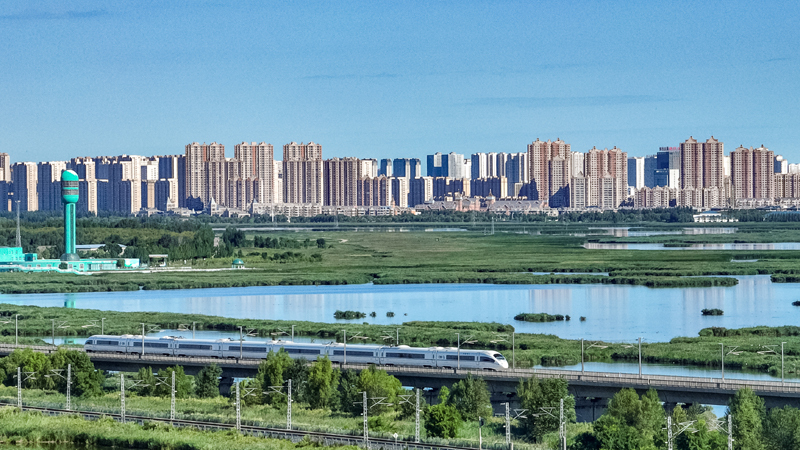 2025年8月17日，一列動車組列車駛過大慶東站。