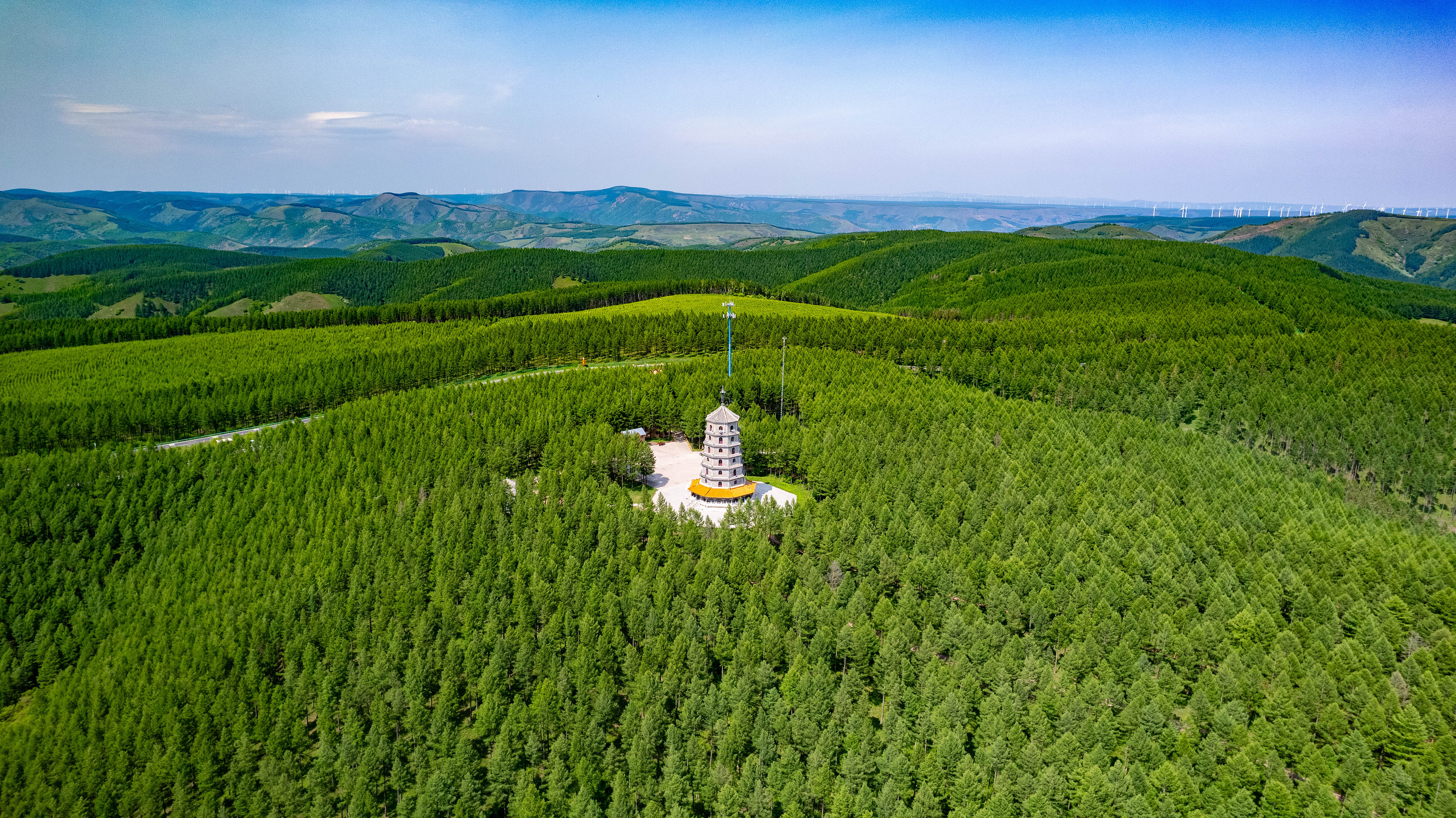 2025年6月11日，河北承德，塞罕壩林海浩渺。